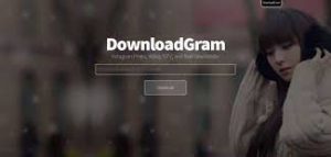DownloadGram