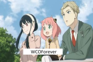 How to Download the WCOForever App?