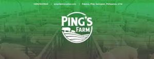 Ping Farm