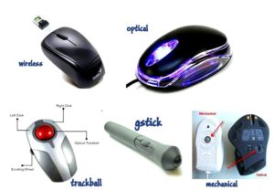 Type of Mouse 